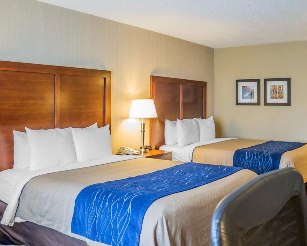 Comfort Inn Iron Mountain Bilik gambar